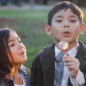 Meet your Posher, Allan